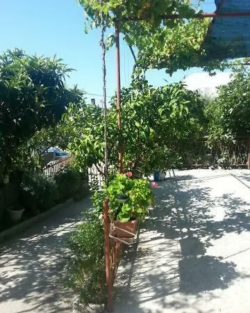 Pavlinovic Jure *