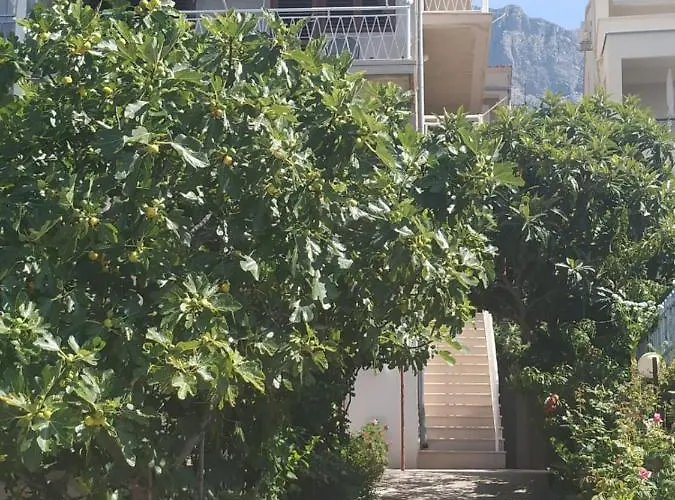Apartamento Pavlinovic Jure *