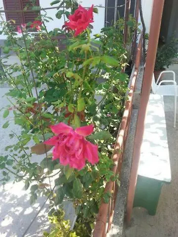 Apartamento Pavlinovic Jure *