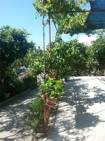 Pavlinovic Jure *