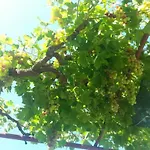 Pavlinovic Jure Apartman Makarska